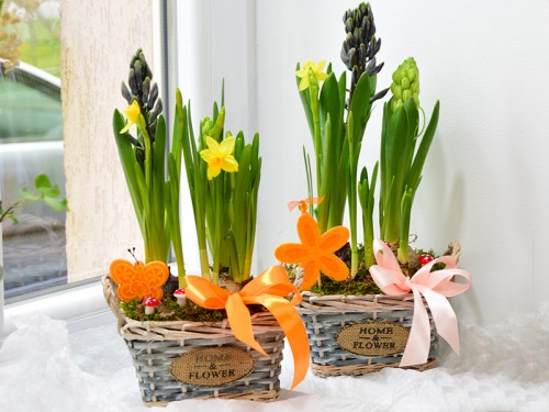 Cosulet cu bulbi de primavara